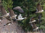 One Of These Is Not Like The Other