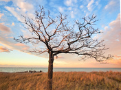 Spring Skies on Lake Ontario