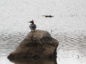 Just me and my Rock...