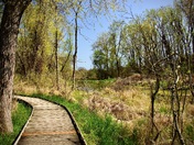 DeLaurier Homestead and Trail Point Peele