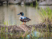 I'm handsome and I know it!