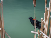 A sure sign spring is here!