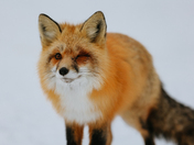 Why Are You Lookin At Me?