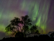 Auroras May 11-2024