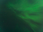 Looking up at Auroras 