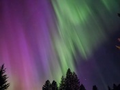 Amazing Aurora 