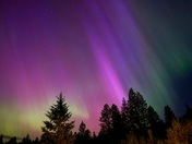 Phenomenon night with the dancing aurora 