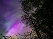 Reach for the Sky (#2)