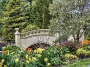 Spring in the Gardens