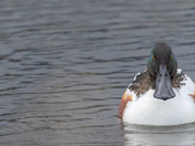 Ready For My Closeup