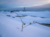 In the distant light 