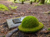 Anyox BC Ghost Town - Forgotten Cemetery