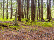 Anyox BC Ghost Town - Forgotten Cemetery