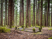Anyox BC Ghost Town - Forgotten Cemetery