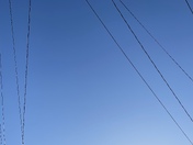 Telephone wires