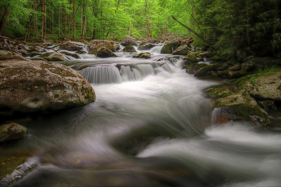 Great Smoky Mountains National Park