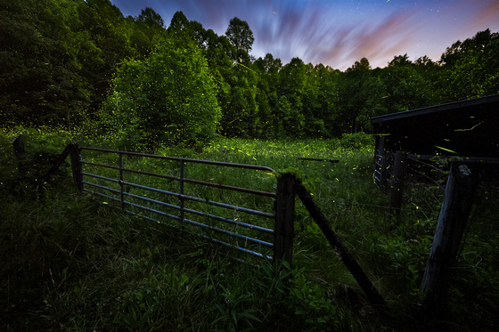 Great Smoky Mountains National Park