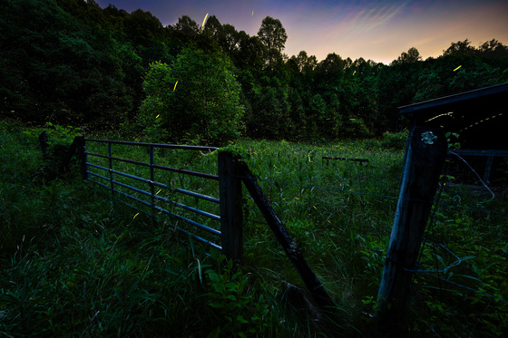 Great Smoky Mountains National Park