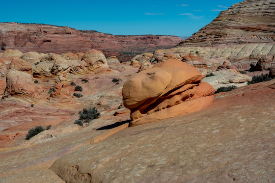 Coyote Buttes North