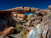 Petrified Forest National Park