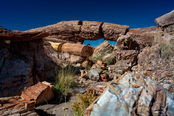 Petrified Forest National Park