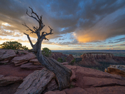 Colorado National Monument