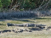 Everglades National Park