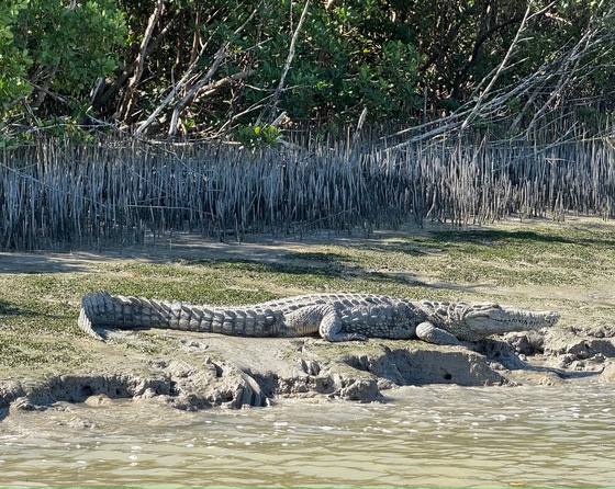 Everglades National Park