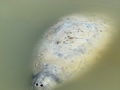 Everglades National Park