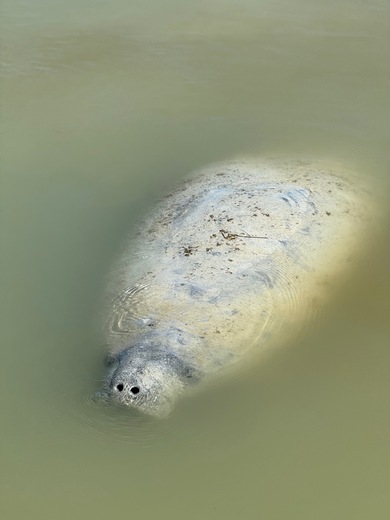 Everglades National Park