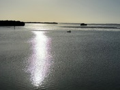 Everglades National Park