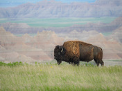 Badlands National Park