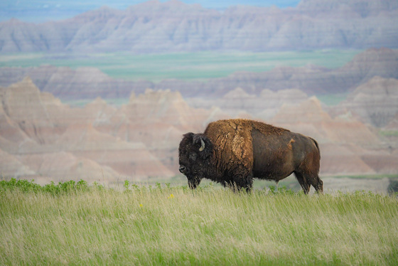 Badlands National Park
