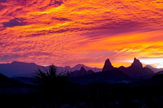 Big Bend National Park