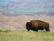 Badlands National Park 