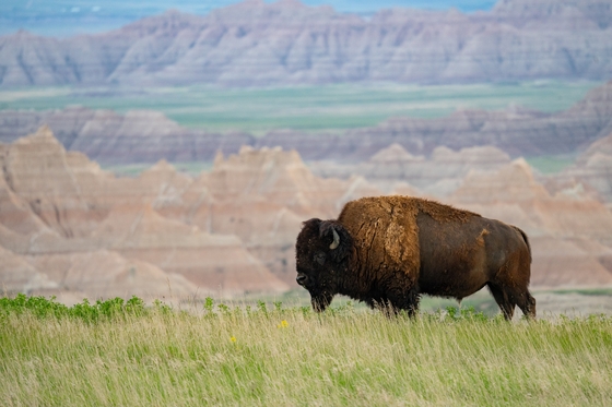 Badlands National Park 