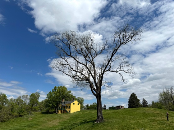 Fort Washington