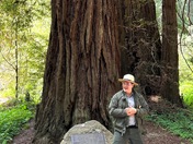 Muir Woods National Monument