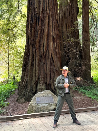 Muir Woods National Monument