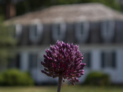 The Moore House-Colonial National Historical Park