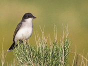 Bear Lake National Wildlife Refuge