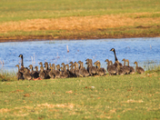 Bear Lake National Wildlife Refuge