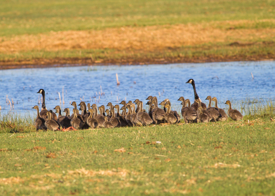 Bear Lake National Wildlife Refuge