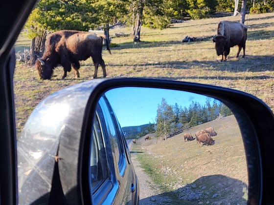 Yellowstone National Park