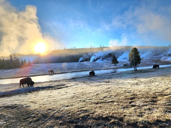 Yellowstone National Park