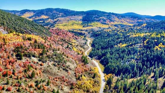 Cache National Forest