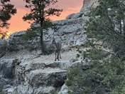 Grand Canyon National Park