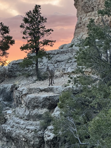 Grand Canyon National Park