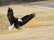 Tennessee Tombigbee Waterway