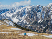 Olympic National Forest 